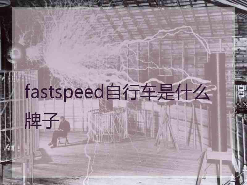 fastspeed自行车是什么牌子