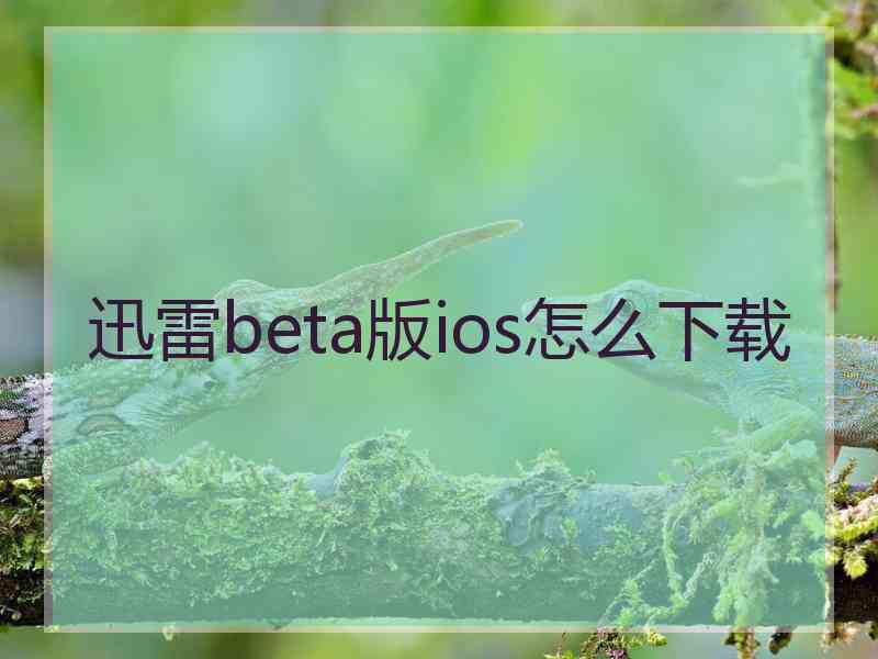 迅雷beta版ios怎么下载