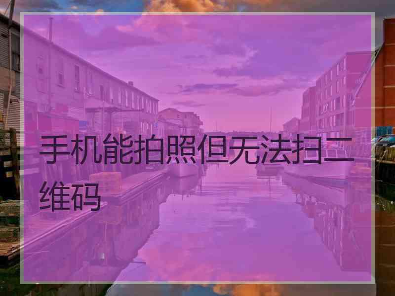 手机能拍照但无法扫二维码