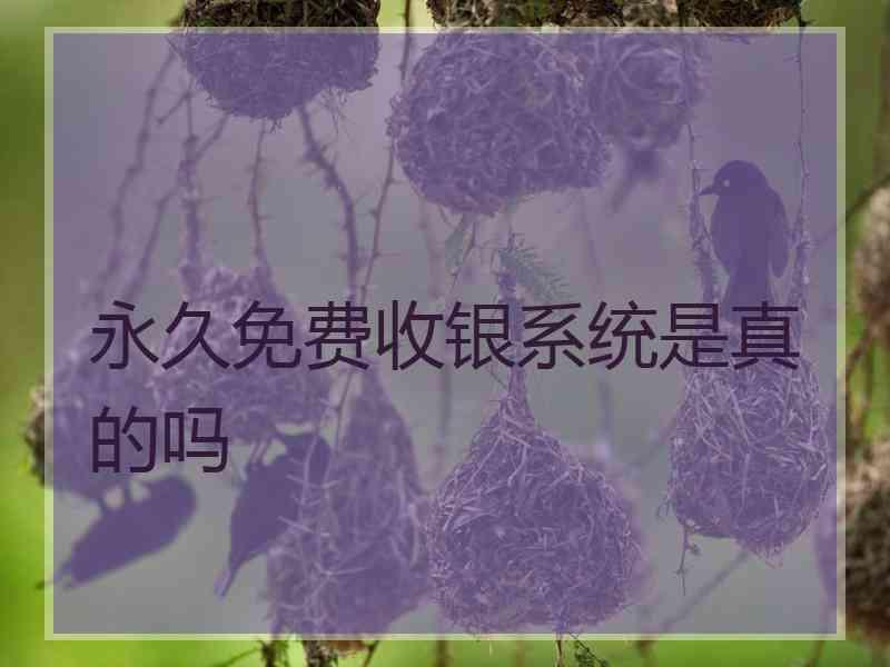 永久免费收银系统是真的吗