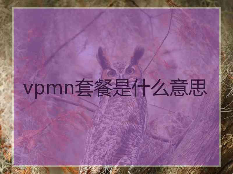 vpmn套餐是什么意思