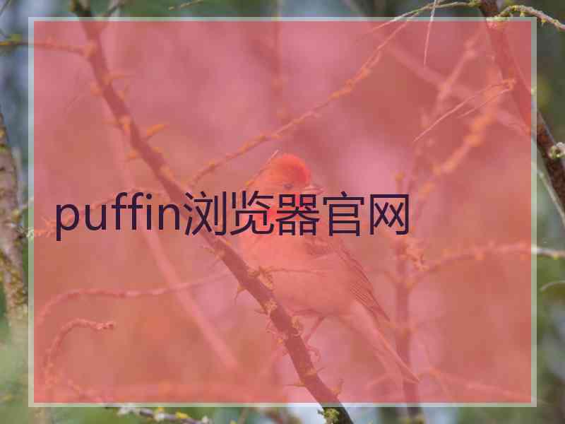 puffin浏览器官网