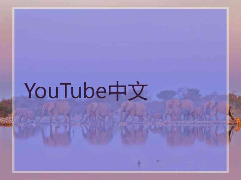 YouTube中文