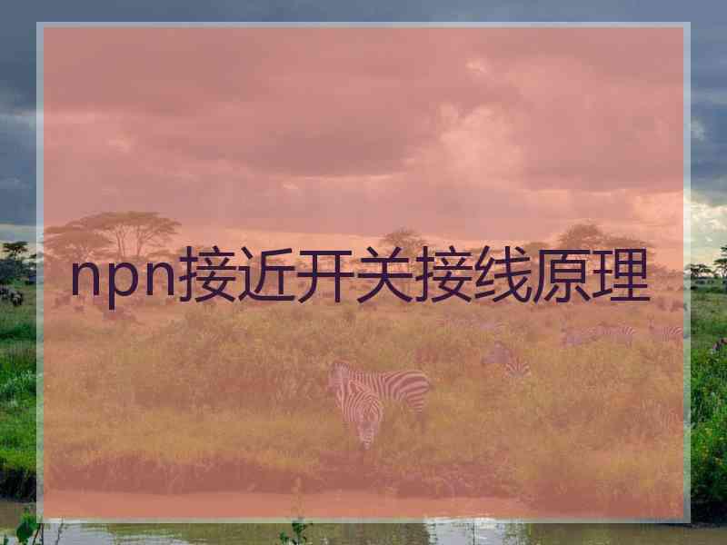 npn接近开关接线原理