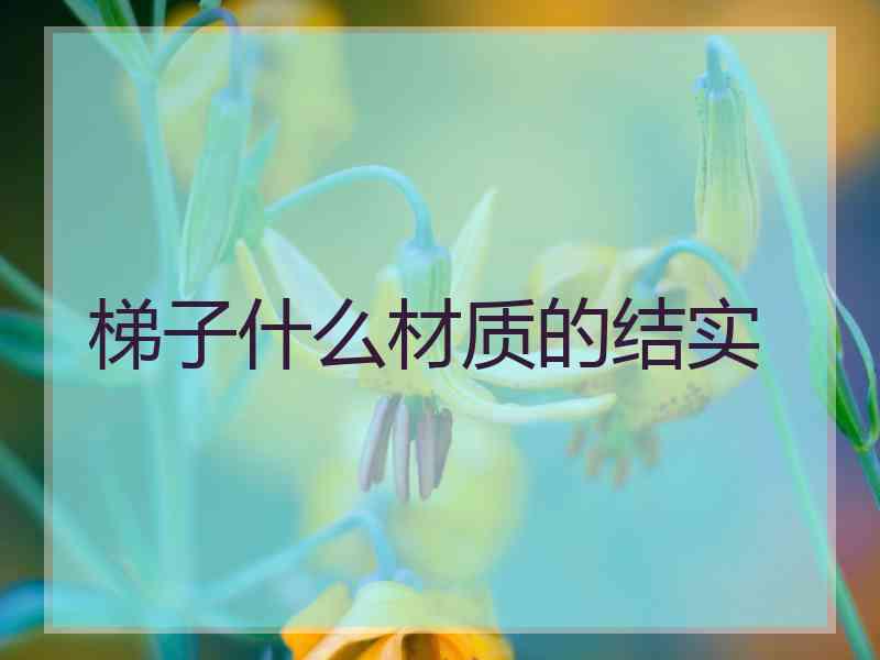 梯子什么材质的结实