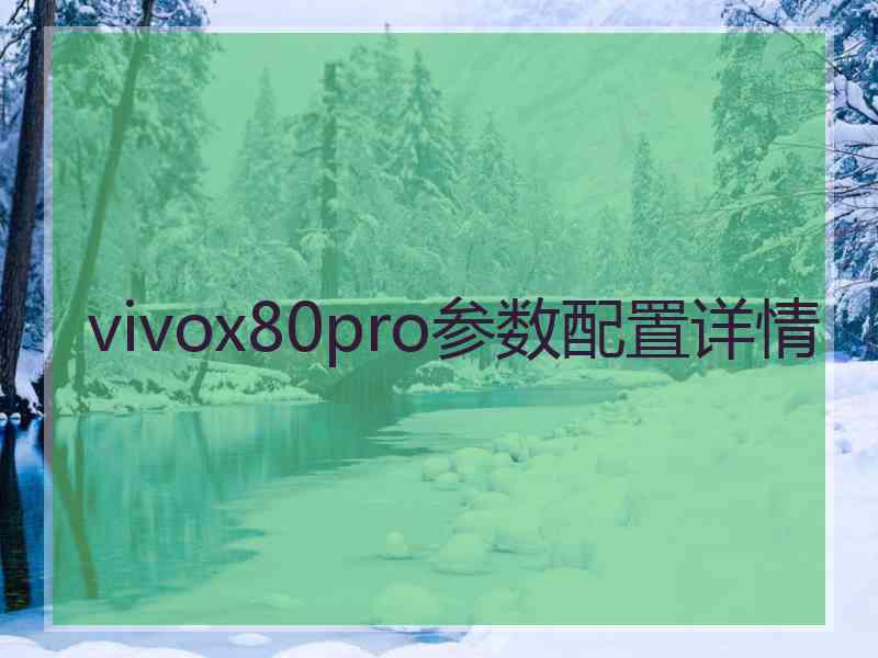 vivox80pro参数配置详情