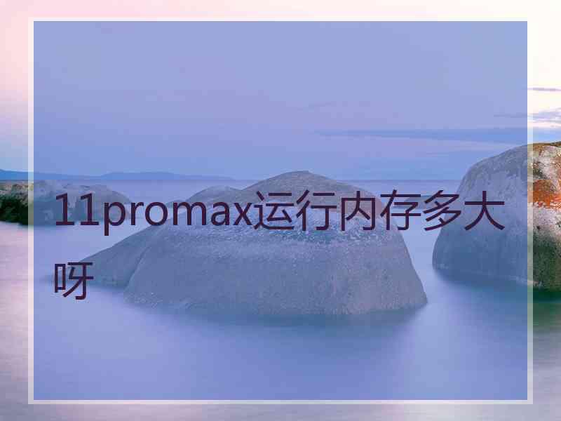 11promax运行内存多大呀