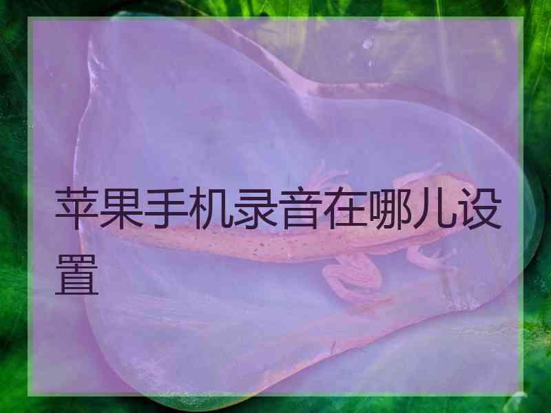 苹果手机录音在哪儿设置