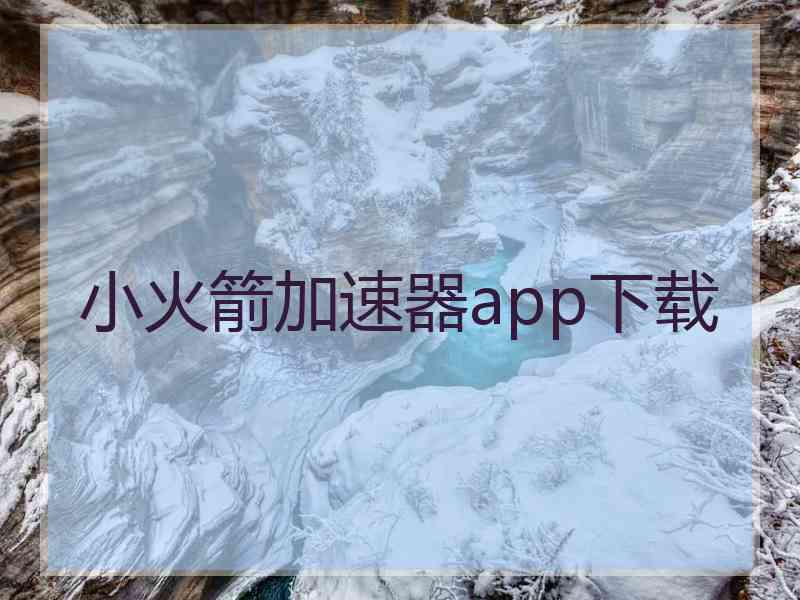 小火箭加速器app下载