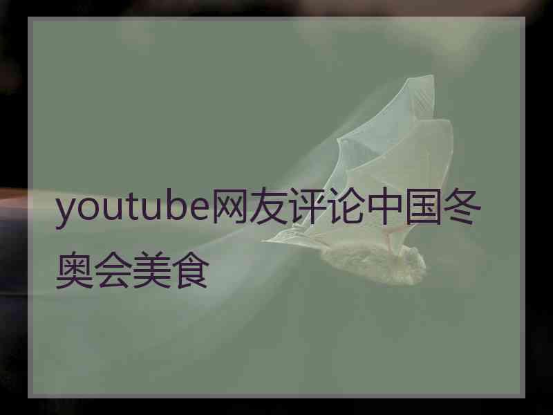 youtube网友评论中国冬奥会美食