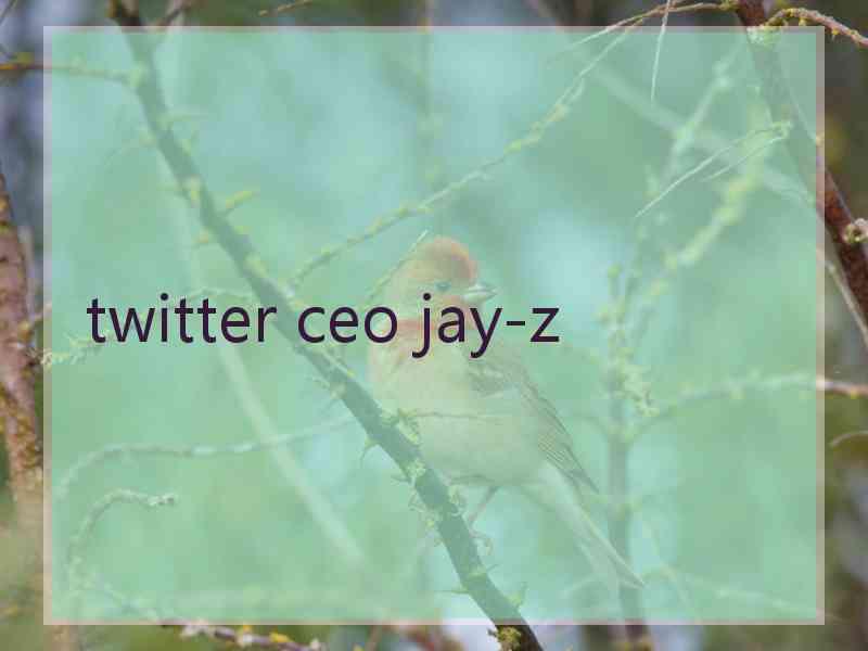 twitter ceo jay-z