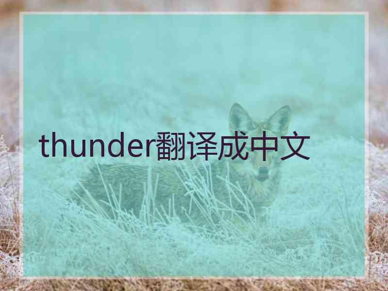 thunder翻译成中文