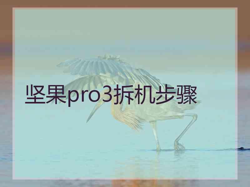 坚果pro3拆机步骤