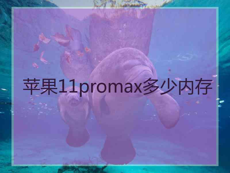 苹果11promax多少内存