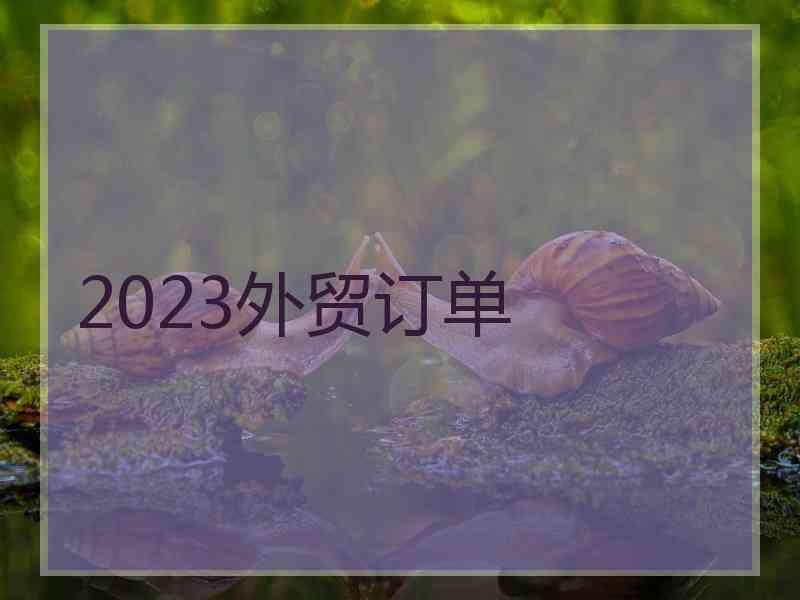 2023外贸订单