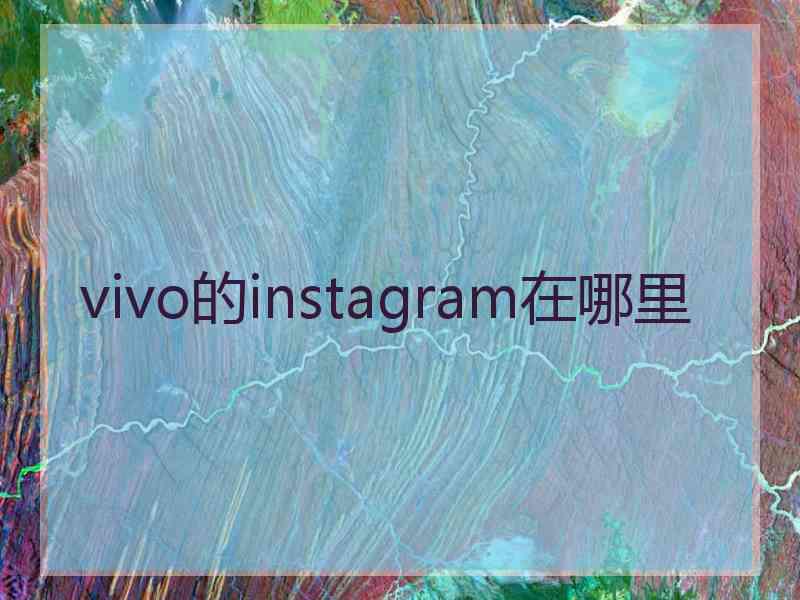 vivo的instagram在哪里