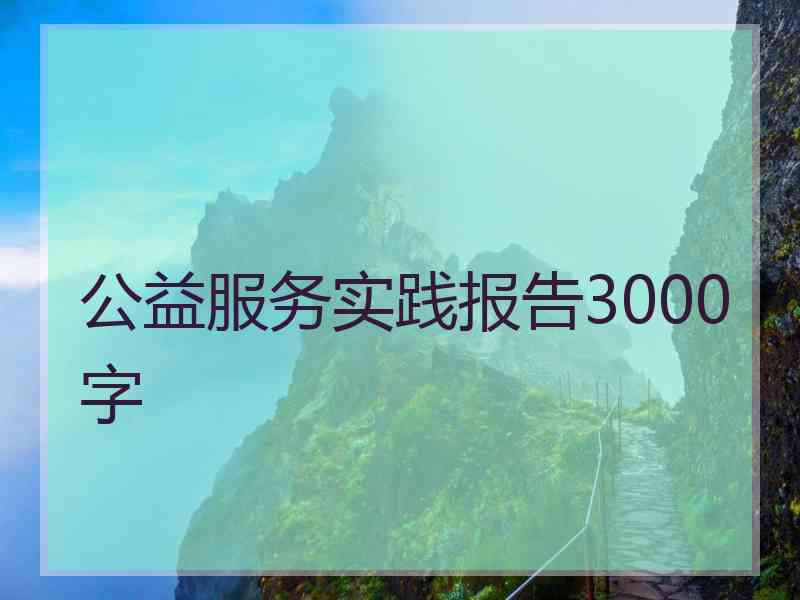 公益服务实践报告3000字