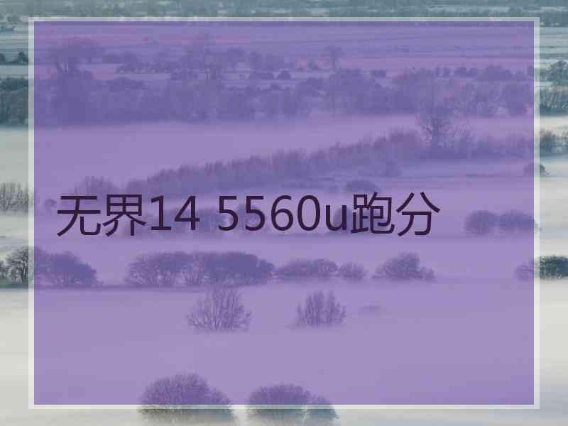 无界14 5560u跑分