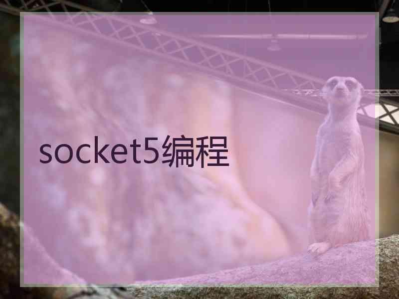 socket5编程