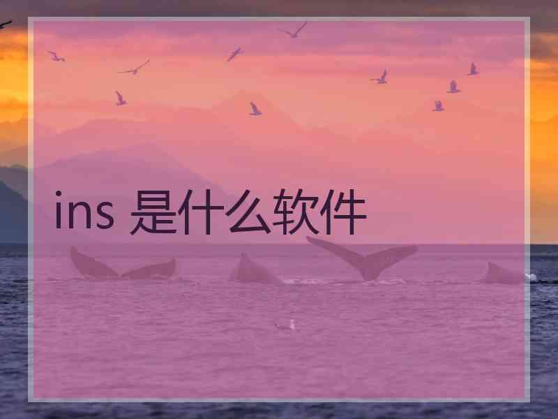 ins 是什么软件