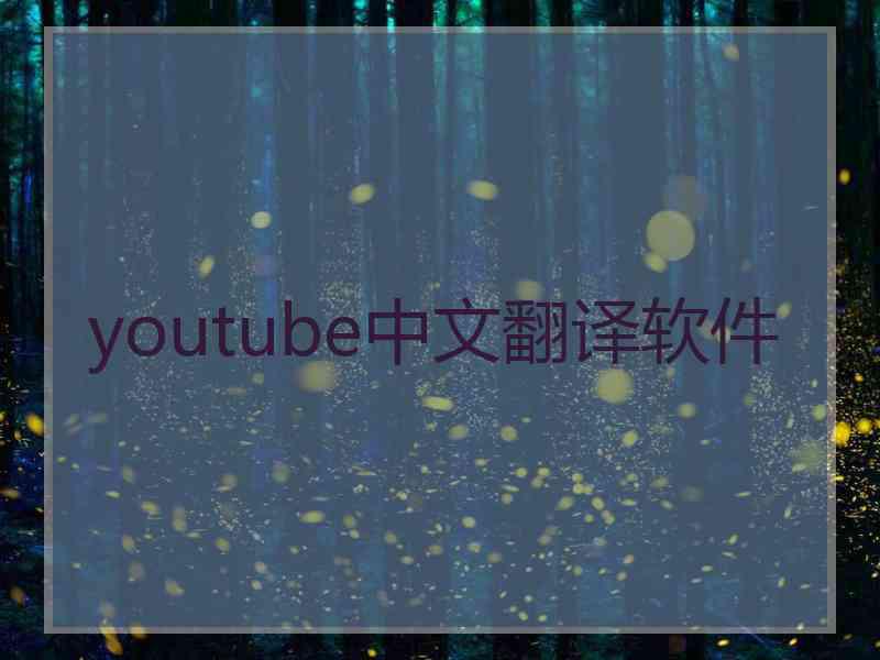 youtube中文翻译软件