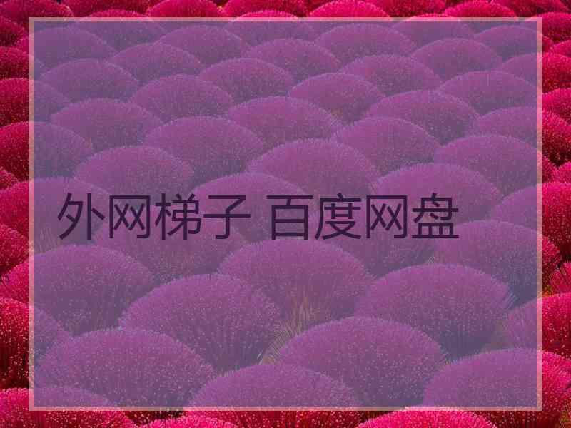 外网梯子 百度网盘