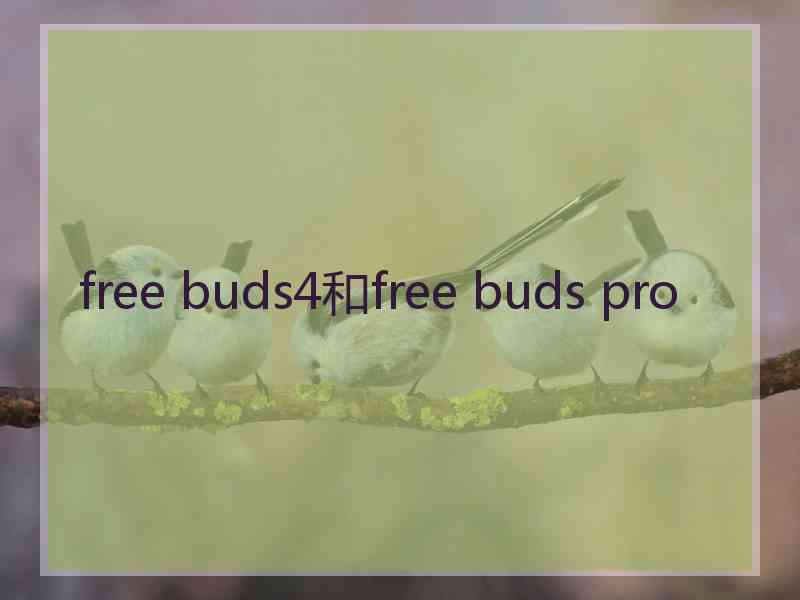 free buds4和free buds pro