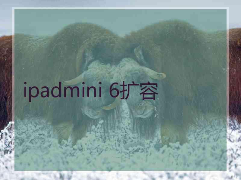 ipadmini 6扩容