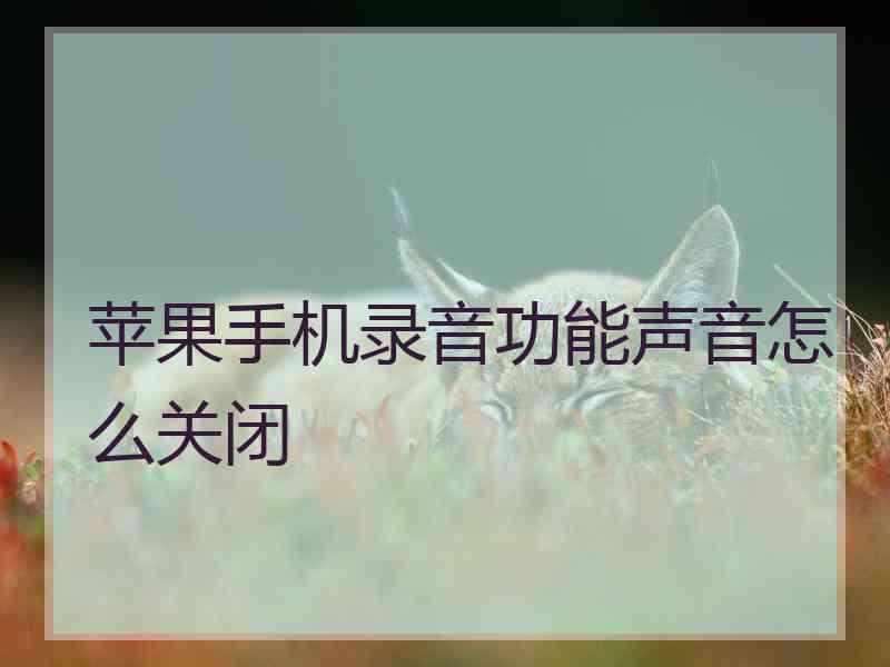 苹果手机录音功能声音怎么关闭