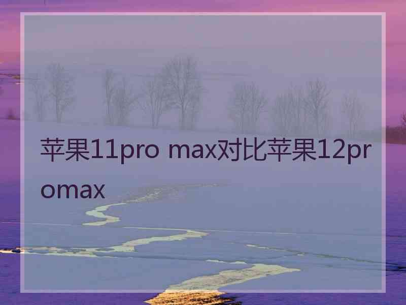 苹果11pro max对比苹果12promax