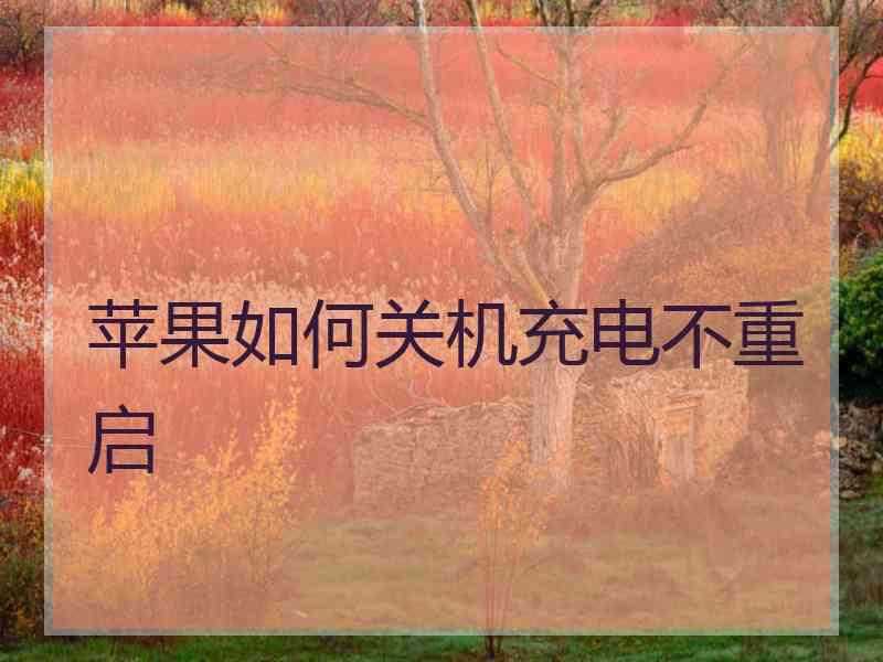 苹果如何关机充电不重启