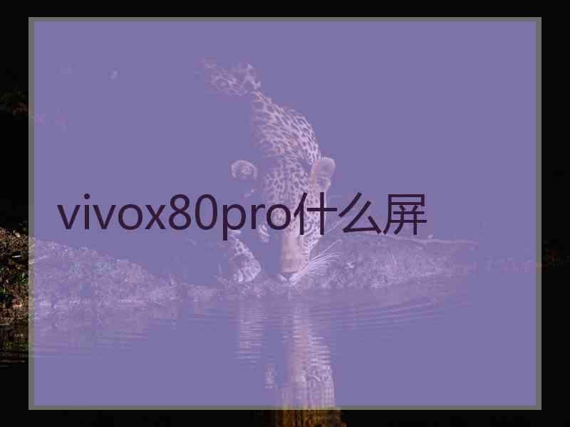 vivox80pro什么屏