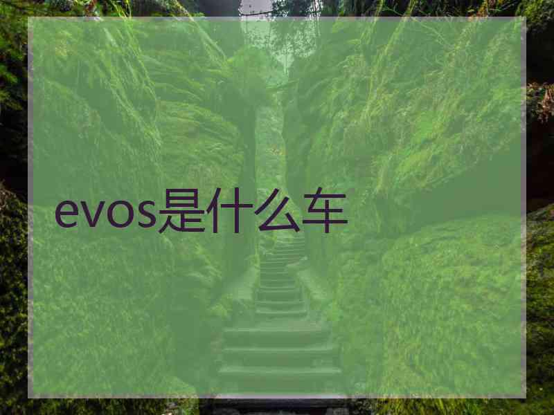 evos是什么车