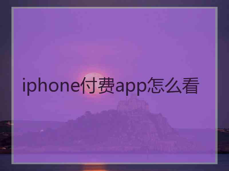 iphone付费app怎么看