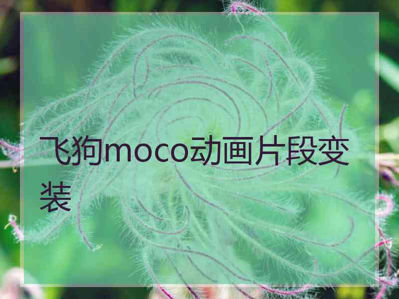 飞狗moco动画片段变装