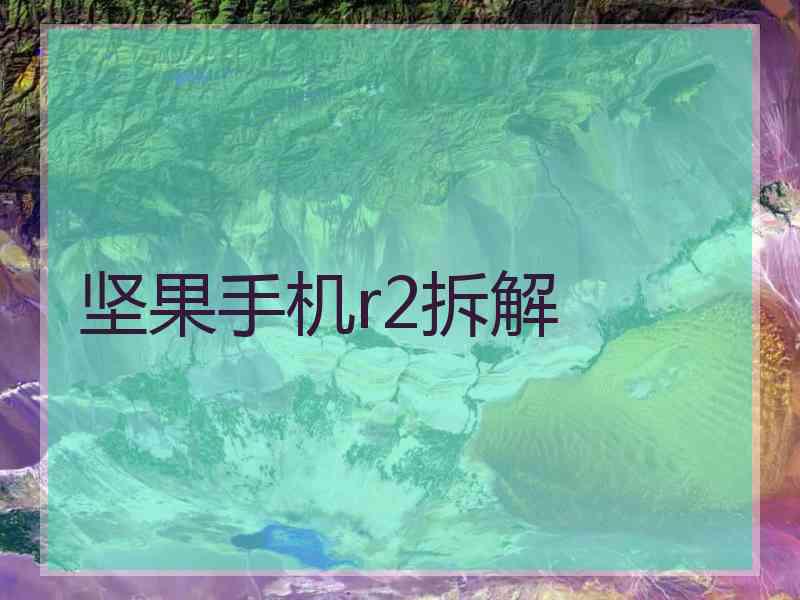 坚果手机r2拆解