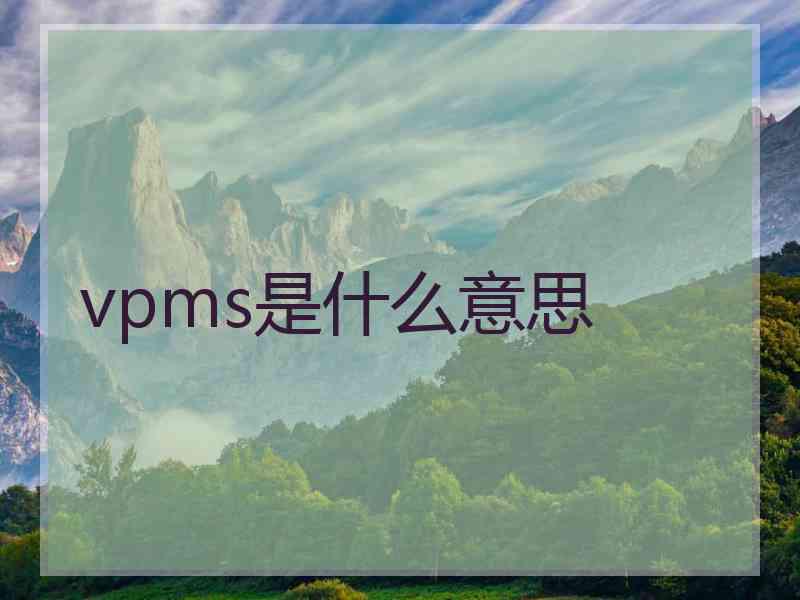 vpms是什么意思