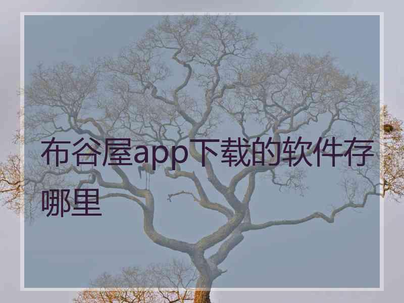 布谷屋app下载的软件存哪里