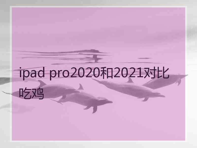 ipad pro2020和2021对比吃鸡