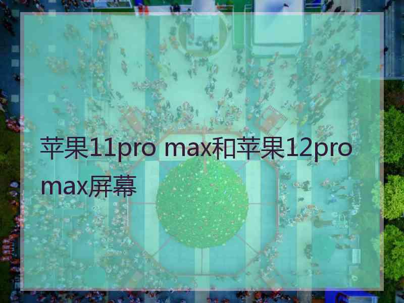 苹果11pro max和苹果12promax屏幕