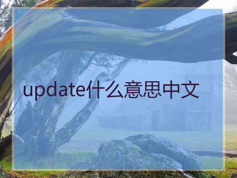 update什么意思中文