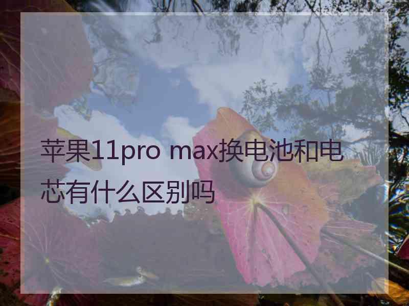 苹果11pro max换电池和电芯有什么区别吗