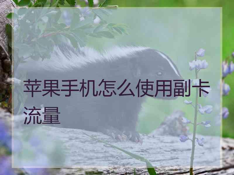 苹果手机怎么使用副卡流量