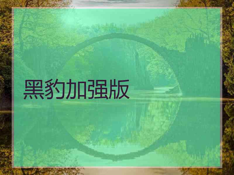 黑豹加强版