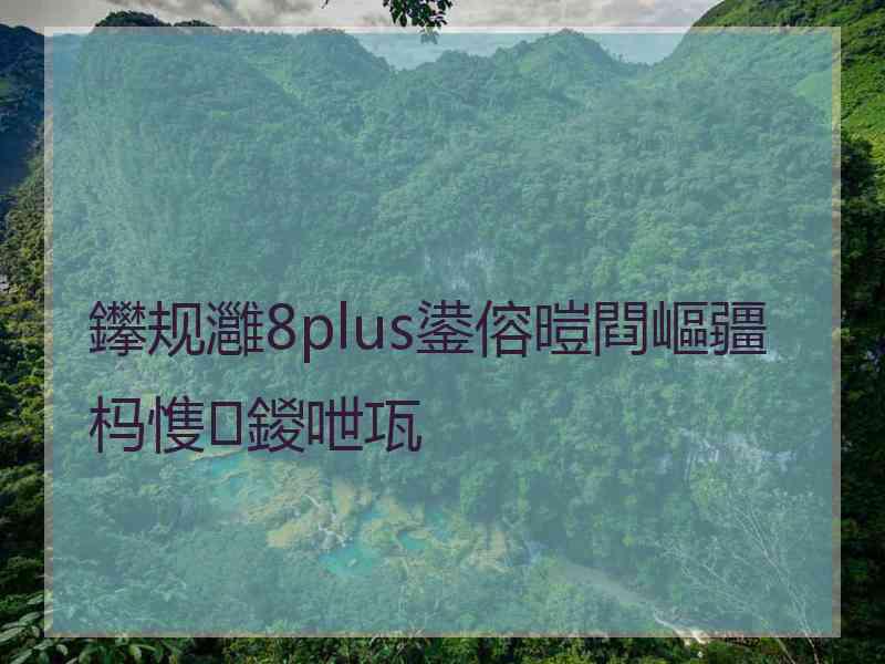 鑻规灉8plus鍙傛暟閰嶇疆杩愯鍐呭瓨