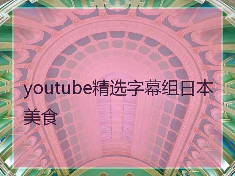 youtube精选字幕组日本美食