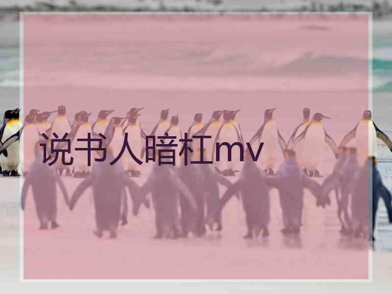 说书人暗杠mv