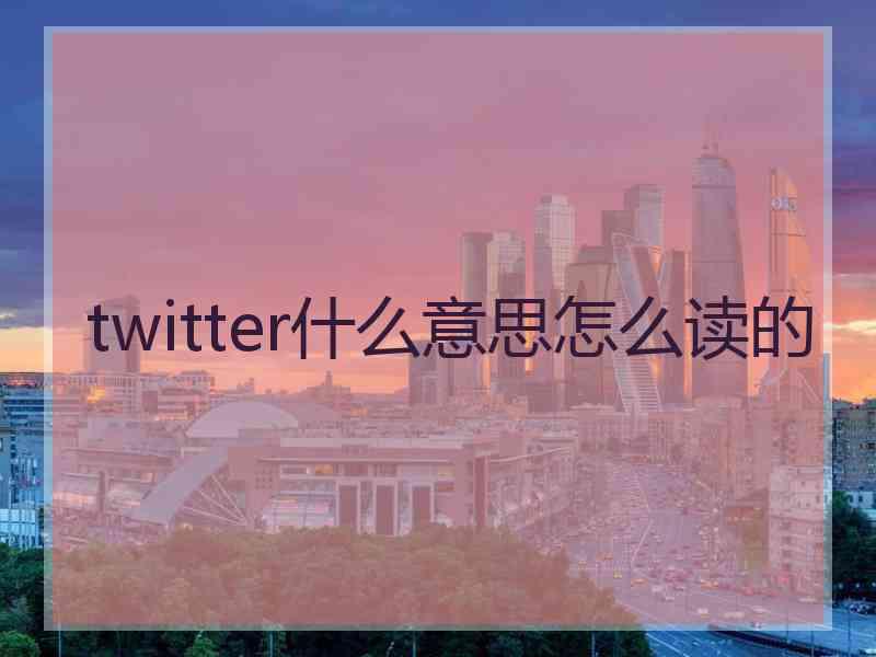 twitter什么意思怎么读的