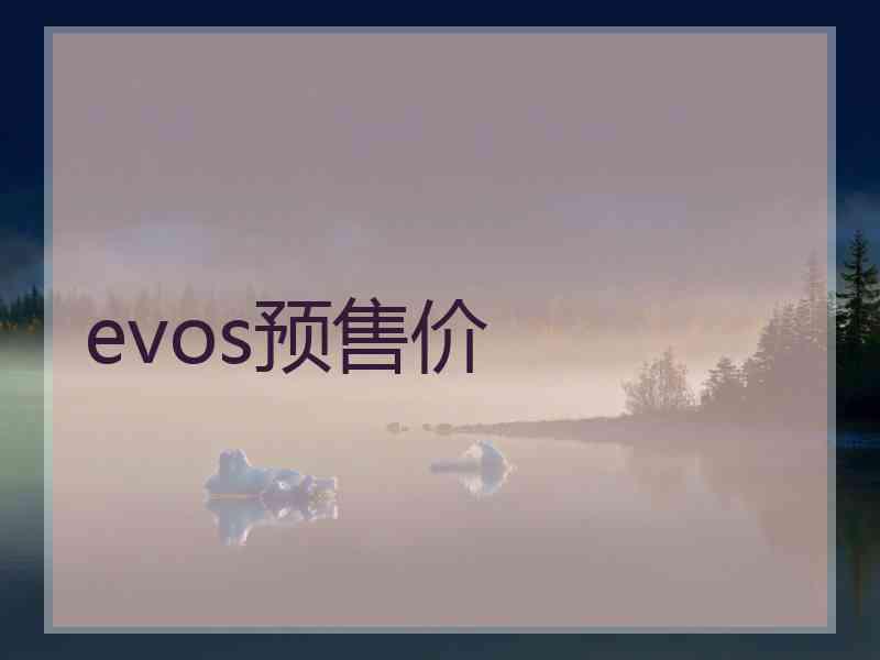 evos预售价