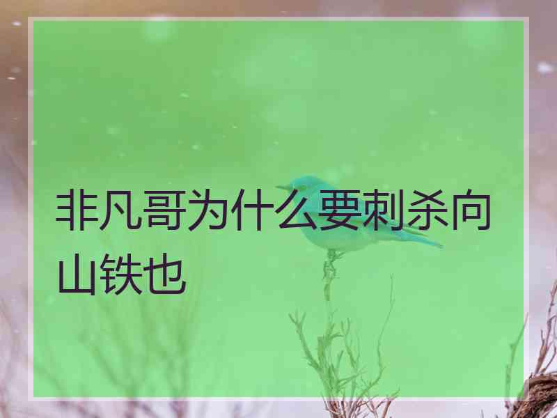 非凡哥为什么要刺杀向山铁也